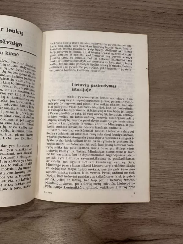 Vilniaus byla 1 dalis 1323-1903 - Antanas Juška, knyga 4