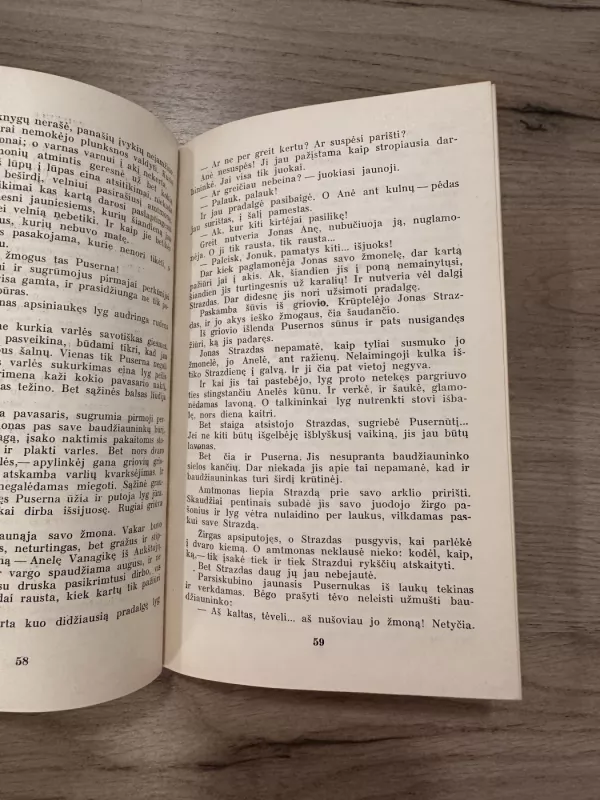 Aukštujų Šimonių likimas - Ieva Simonaitytė, knyga 4