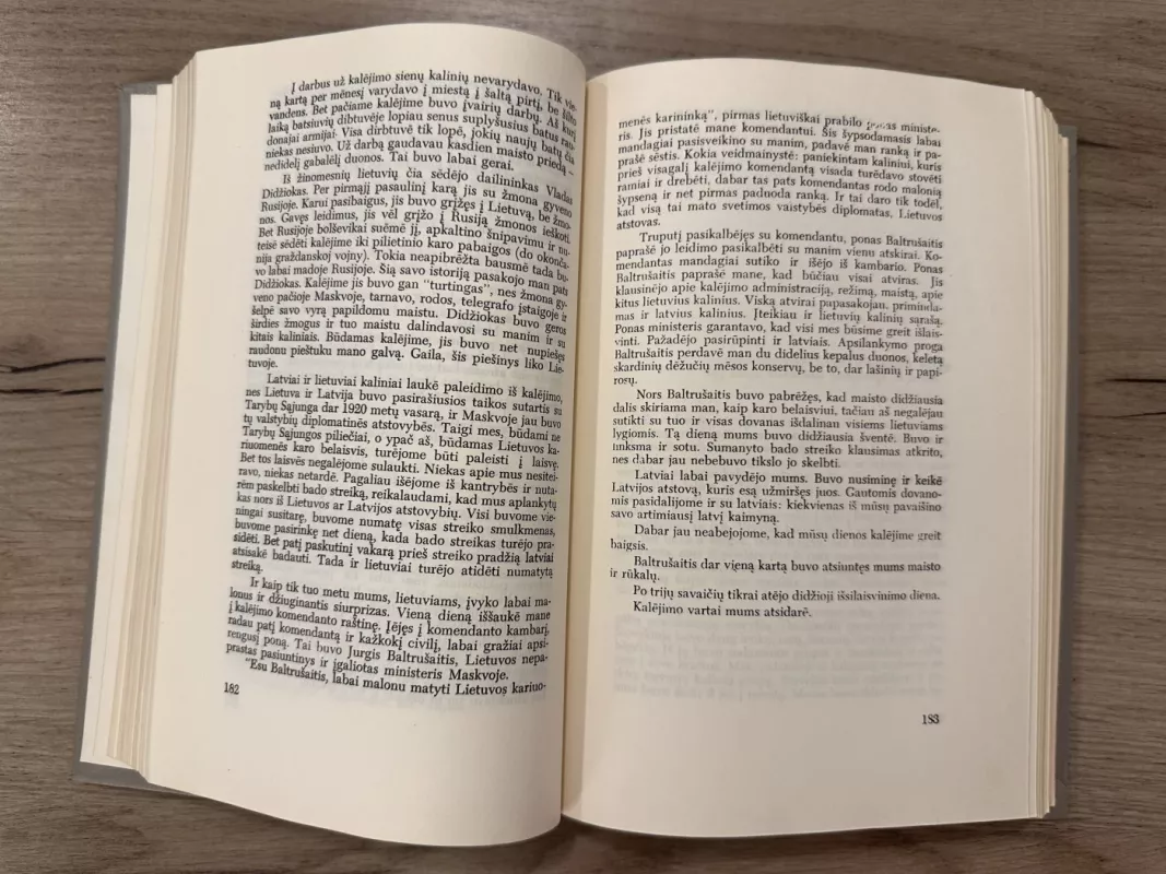 Kovose dėl Lietuvos (I tomas) - Stasys Raštikis, knyga 4