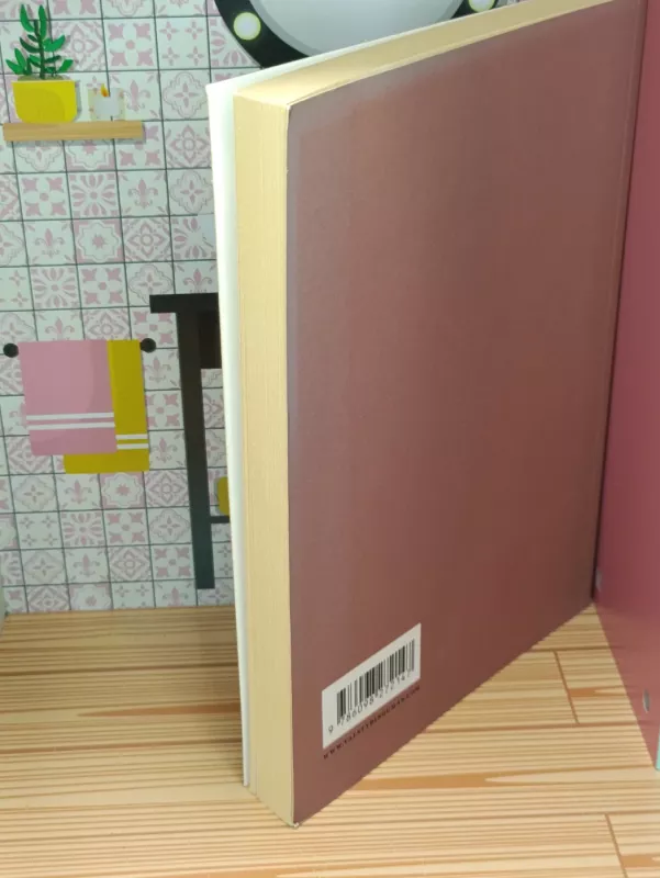 Politikas - Platonas, knyga 4