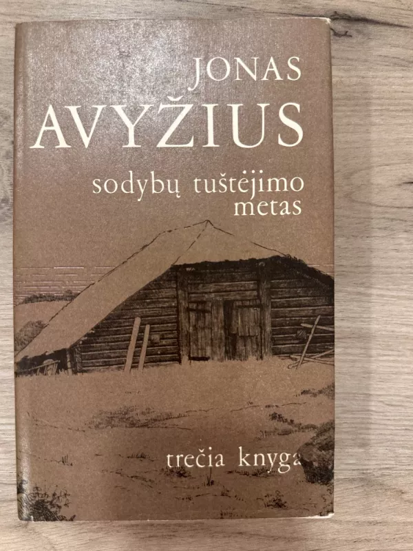 Sodybų tuštėjimo metas (3 knyga) - Jonas Avyžius, knyga 2