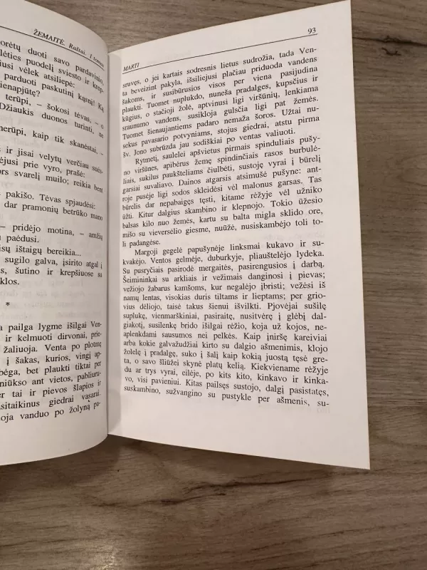 Žemaitė Raštai 1 - Žemaitė, knyga 4