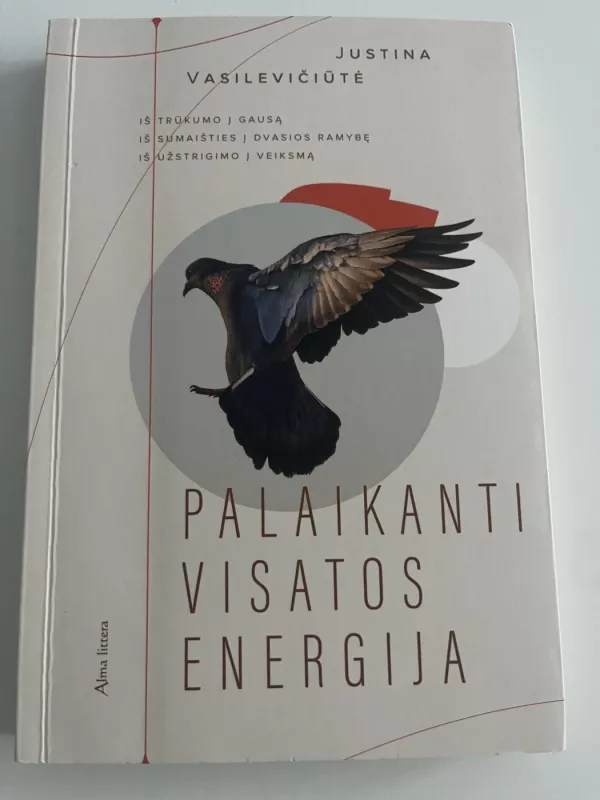 Palaikanti visatos energija - Justina Vasilevičiūtė, knyga 2