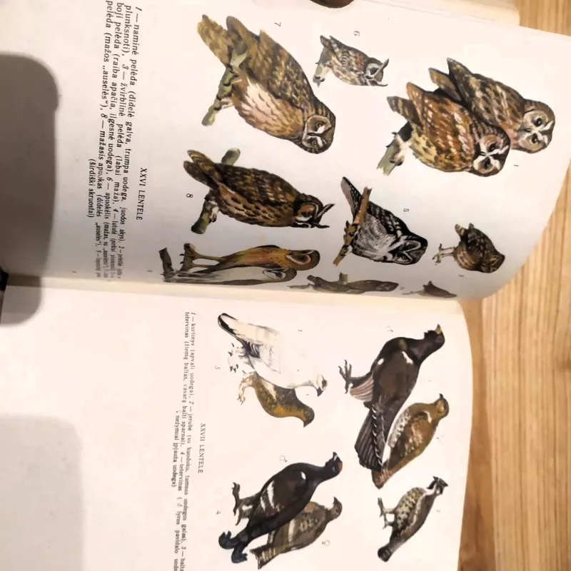Lietuvos paukščiai - Vytautas Logminas, knyga 5