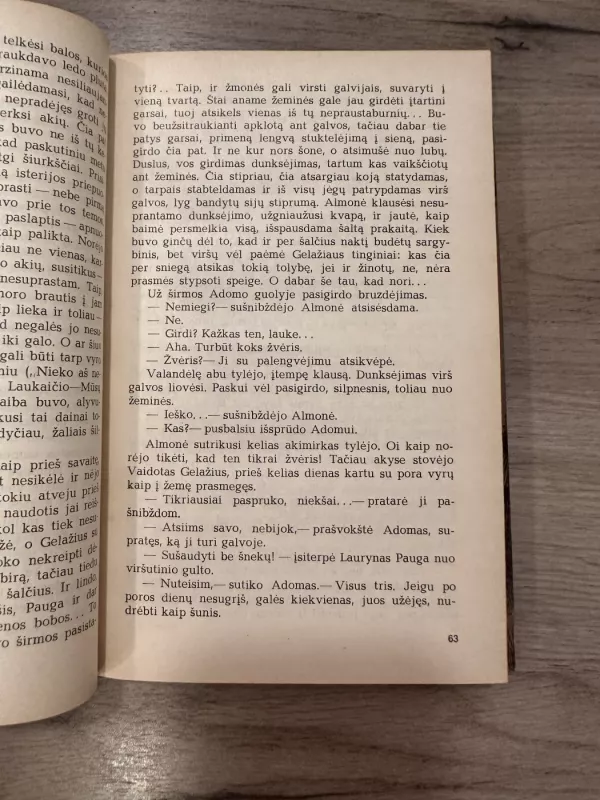 Sodybų tuštėjimo metas (4 knyga) - Jonas Avyžius, knyga 5