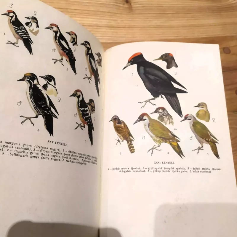 Lietuvos paukščiai - Vytautas Logminas, knyga 3