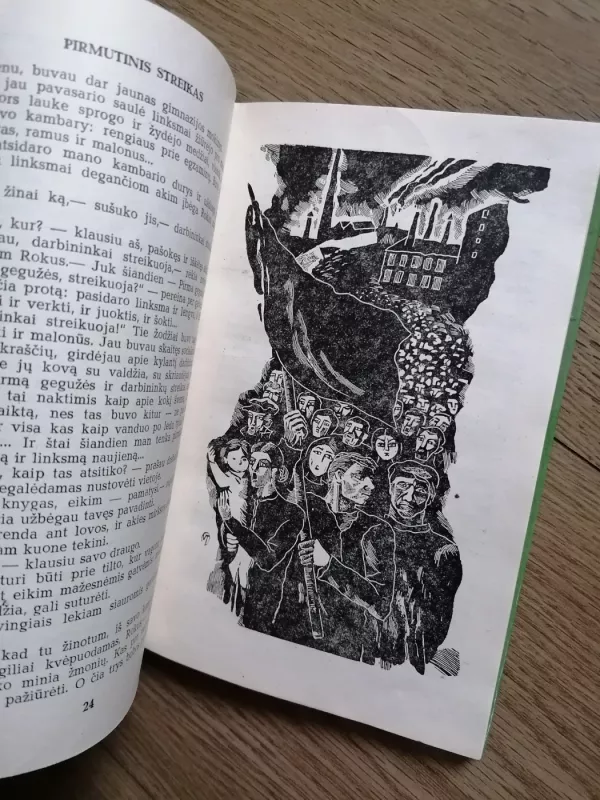 Liūdna pasaka - Jonas Biliūnas, knyga 6