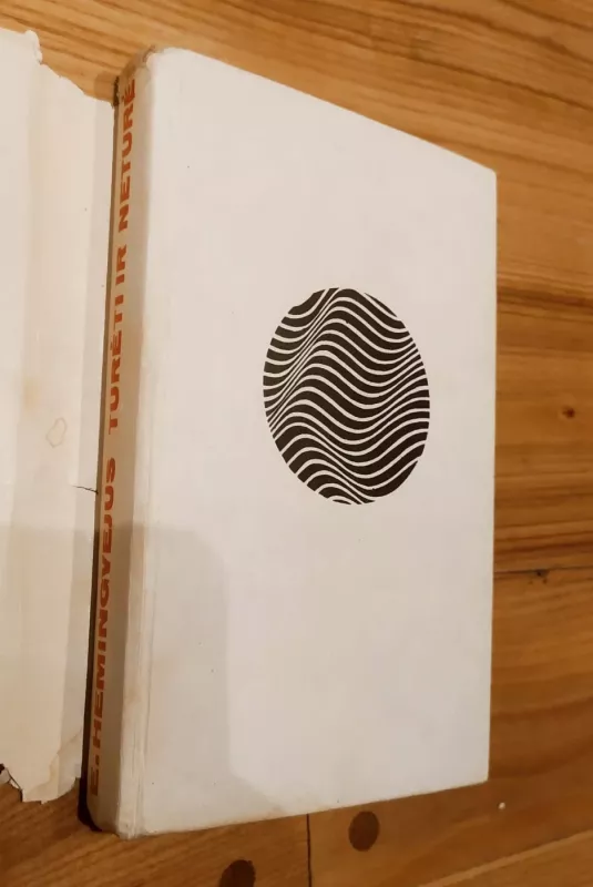 Turėti ir neturėti - Ernest Hemingway, knyga 2