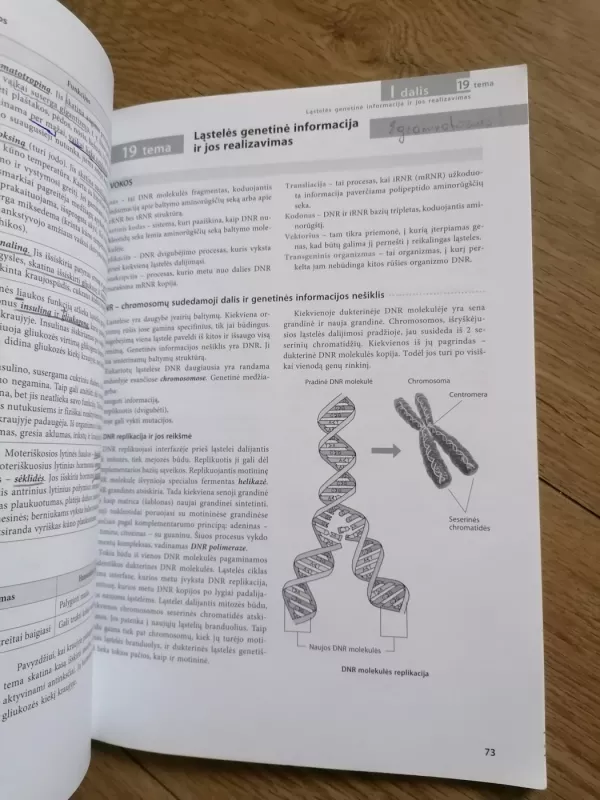 Prieš egzaminą Biologija - Jolanta Martinionienė, Laima  Lapinskaitė, Pranė  Stankevičienė, knyga 5