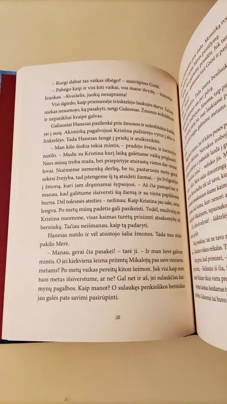 Kalėdų istorija - Marko Leino, knyga 5