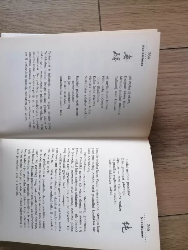 365 DAO Įžvalgos kasdienai - Deng Ming-Dao, knyga 5