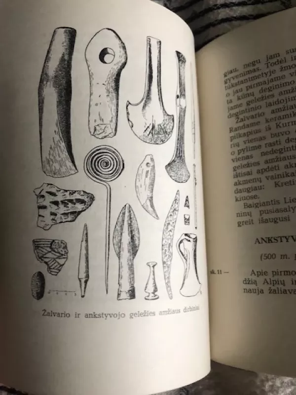 Pirminė kultūra Lietuvoje - R. Jablonskytė - Rimantienė, knyga 4