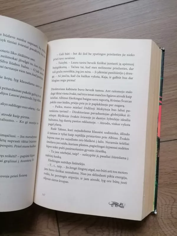 Laura ir Sidabrinės Sfinksės mįslė - Peter Freund, knyga 3