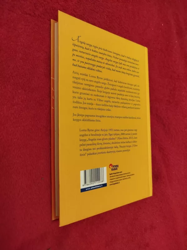 Vilties žinia - Lorna Byrne, knyga 5