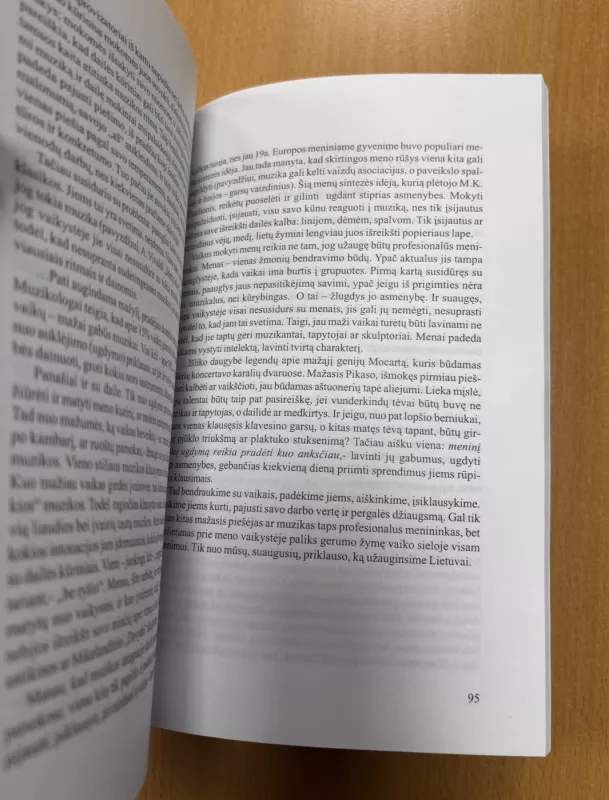 Meninus moksleivių ugdymas: nuo gabumų lavinimo link asmenybės dorinimo - Rasa Prokurorienė, Laimutė Kisielienė, Aušra Banikovienė, knyga 5