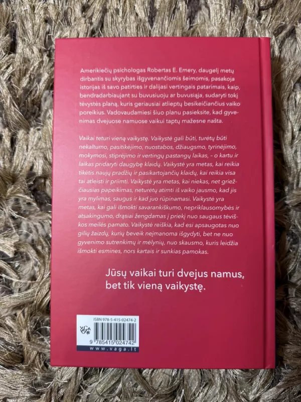 Dveji namai, viena vaikystė. Skyrybos ir tėvystės planas, trunkantis visą gyvenimą - Robert E. Emery, knyga 3