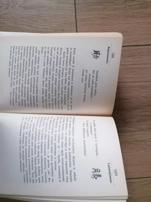 365 DAO Įžvalgos kasdienai - Deng Ming-Dao, knyga 4