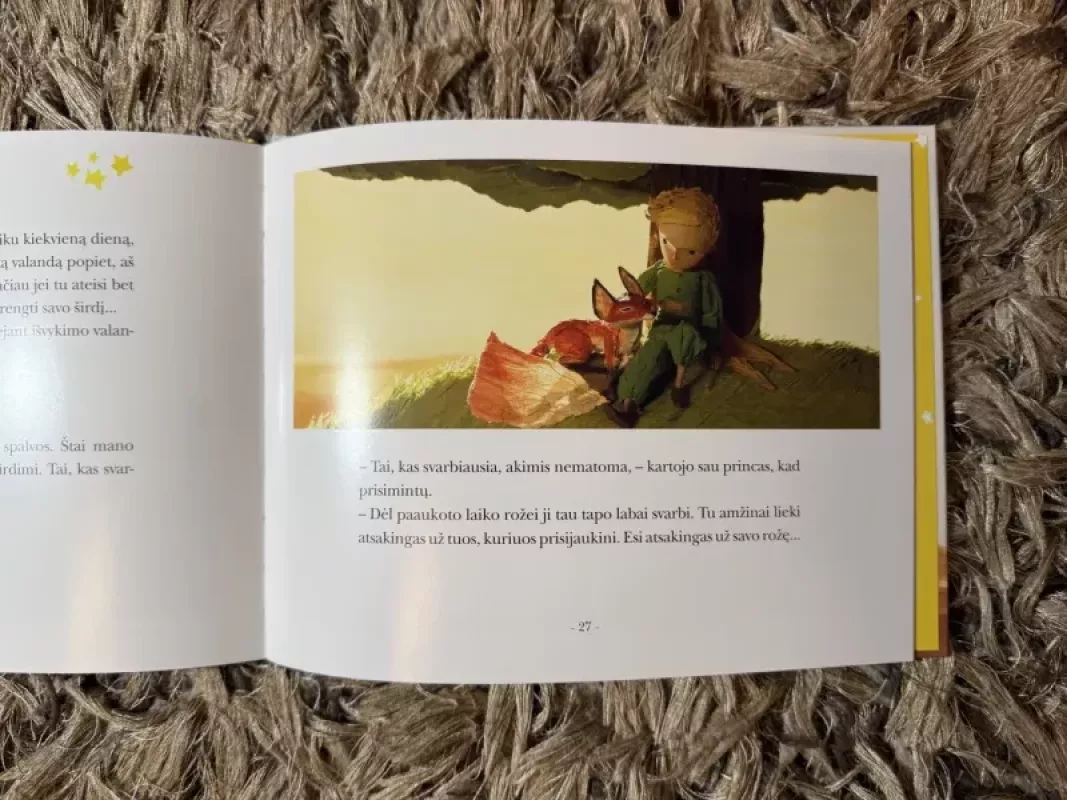 MAŽASIS PRINCAS, pasakaitė vaikams - Vanessa RubioBarreau, knyga 4