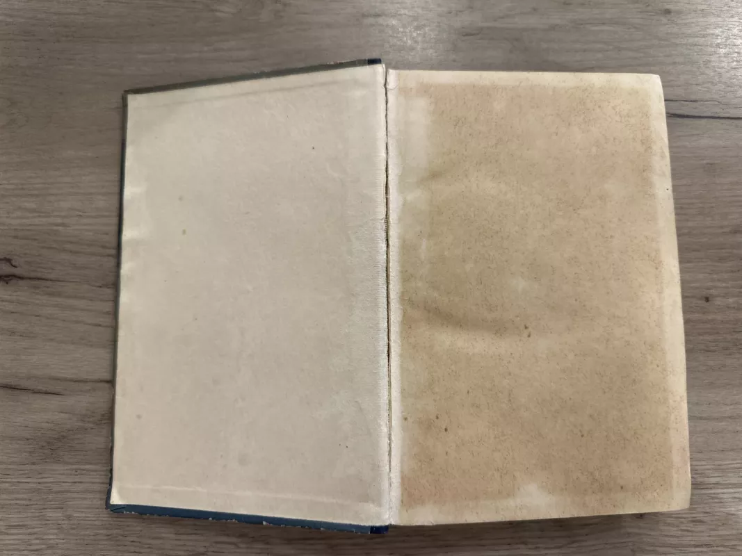 Vargdieniai (IV tomas) - Viktoras Hugo, knyga 3