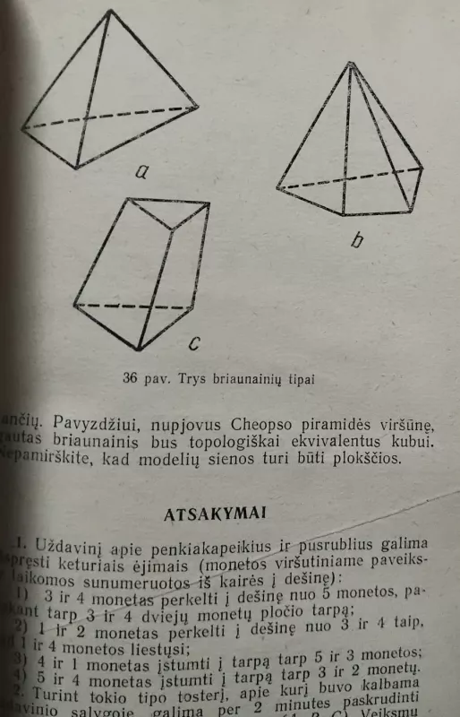 Matematika laisvalaikiu - Martinas Gardneris, knyga 4