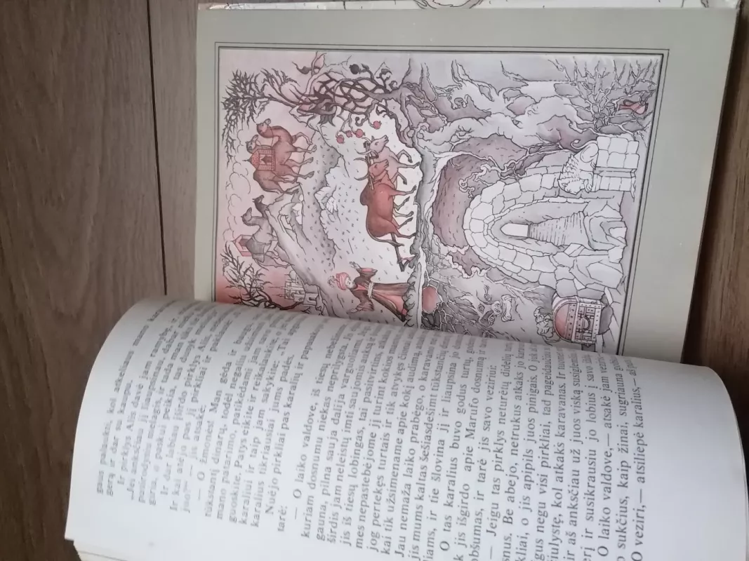 Šachrazados pasakos - Autorių Kolektyvas, knyga 5