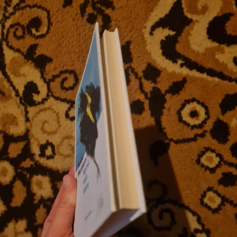 Išgirsk vėjo dainą - Haruki Murakami, knyga 4