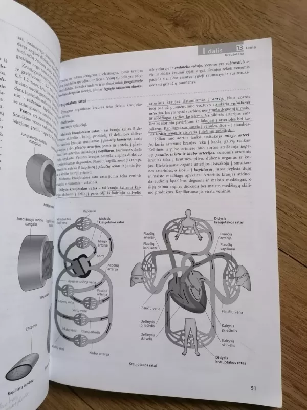 Prieš egzaminą Biologija - Jolanta Martinionienė, Laima  Lapinskaitė, Pranė  Stankevičienė, knyga 6