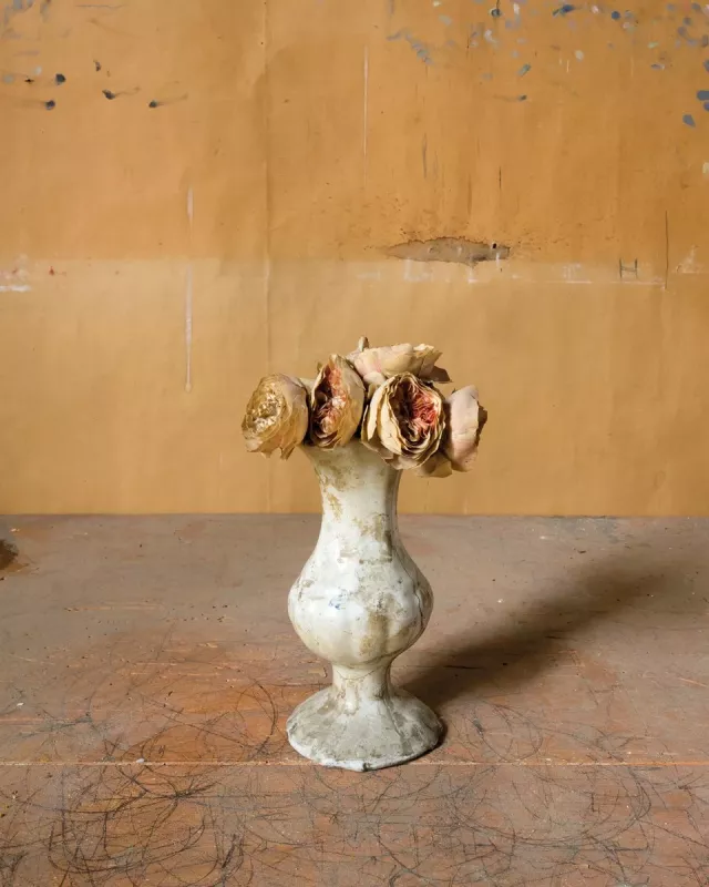 Morandi's Objects - Joel Meyerowitz, knyga 5