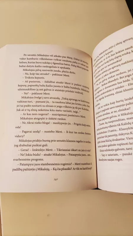 Kalėdų istorija - Marko Leino, knyga 4