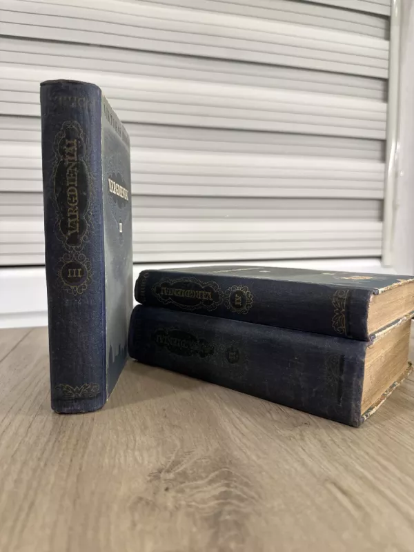 Vargdieniai (III tomas) - Viktoras Hugo, knyga 6