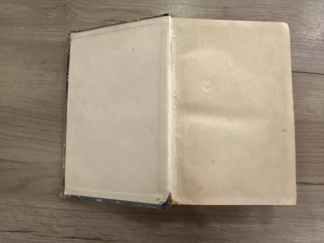 Vargdieniai (2 tomas) - Viktoras Hugo, knyga 3