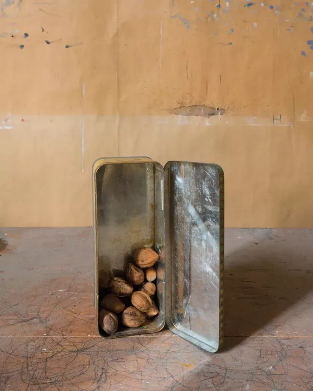 Morandi's Objects - Joel Meyerowitz, knyga 3