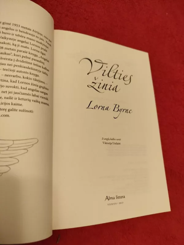 Vilties žinia - Lorna Byrne, knyga 3