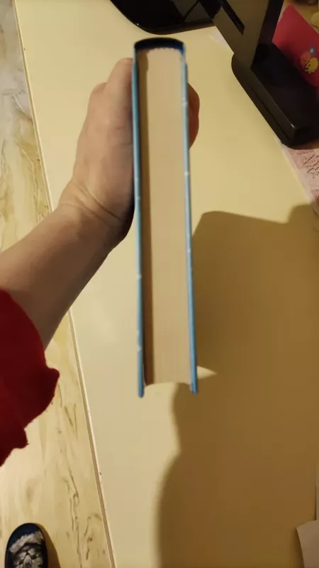 Kalėdų istorija - Marko Leino, knyga 6