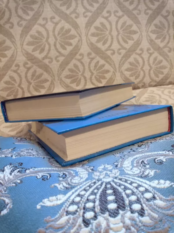 Paryžiaus mohikanai (2 dalis) - Aleksandras Diuma, knyga 3