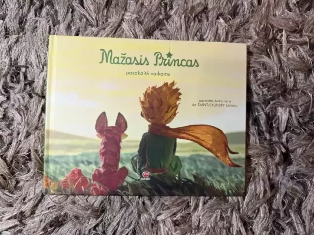 MAŽASIS PRINCAS, pasakaitė vaikams - Vanessa RubioBarreau, knyga 2