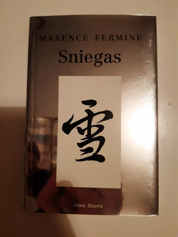 Sniegas - Maxence Fermine, knyga 2