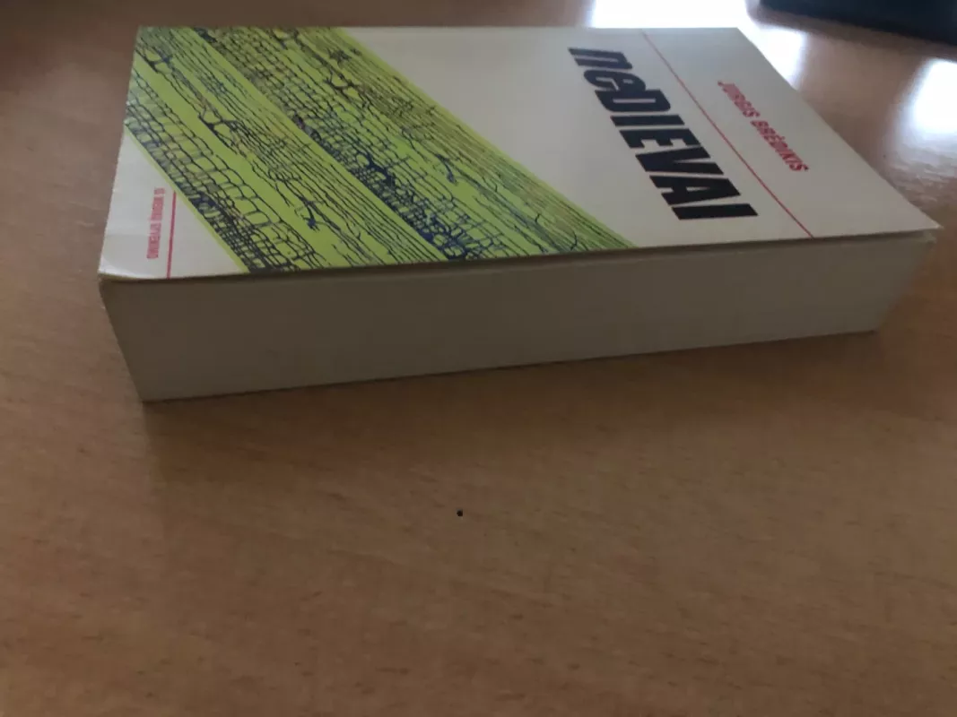 Ne dievai - Jurgis Brėdikis, knyga 5