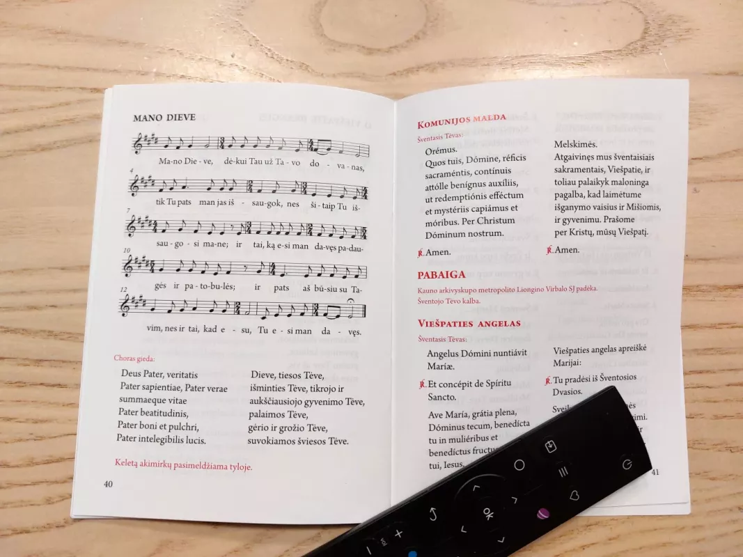 XXV Eilinis sekmadienis. Šventosios mišios.Kaunas,2018 m.rugsėjo 23 d. - Pranciškus Popiežius, knyga 6