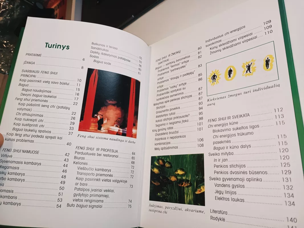 Feng Shui - Karola Berger, knyga 4