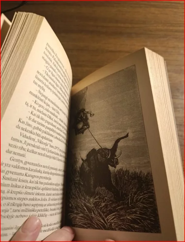 Penkios savaitės oro balionu - Žiulis Vernas, knyga 4