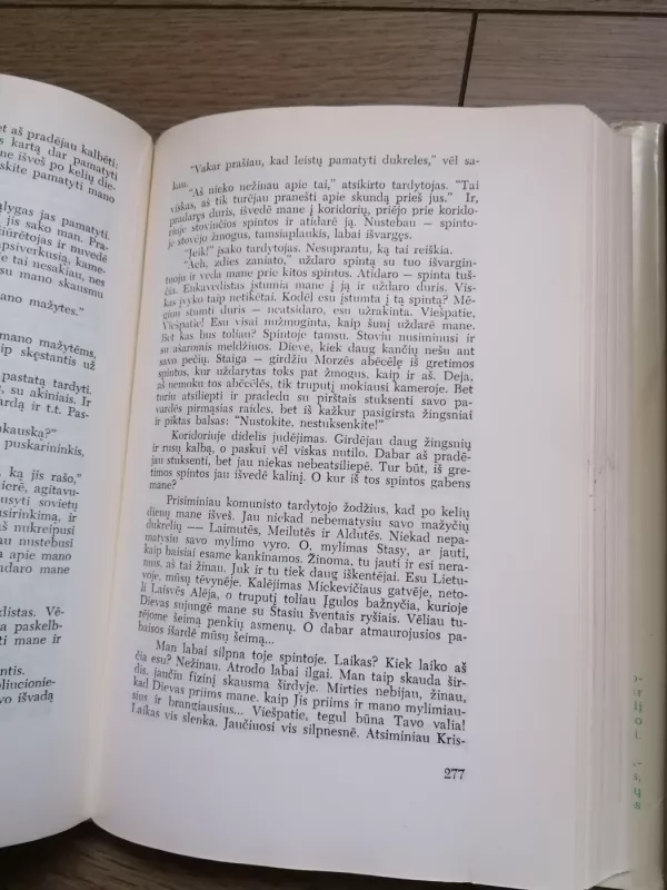 Kovose dėl Lietuvos (2 tomai) - Stasys Raštikis, knyga 4