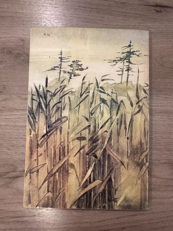 Paukštulis - ežero vaikas - Vytautas Nedzinskas, knyga 5