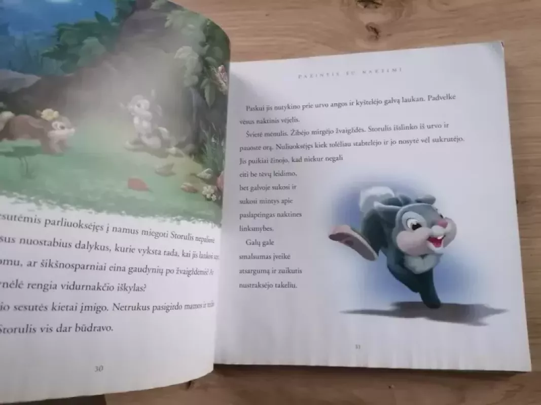 Sapnų pasakeles - Disney, Autorių kolektyvas, Aautorių kolektyvas, knyga 5