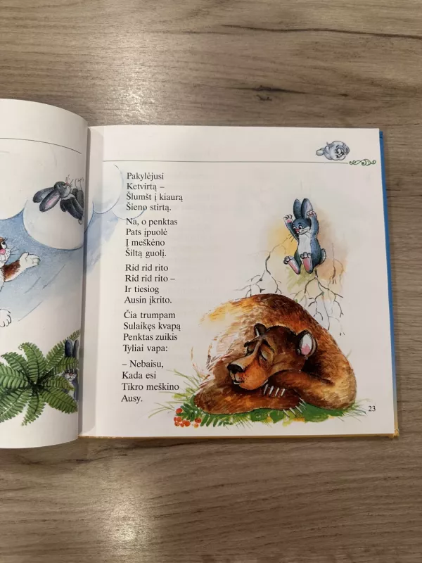 Kur keliauji, debesėli - Zita Gaižauskaitė, knyga 4