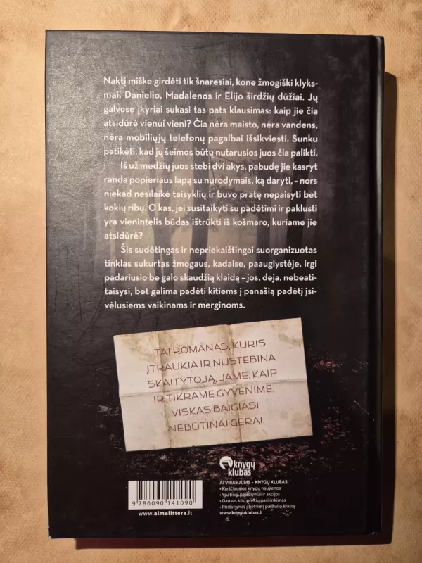 TINKLAS - Sara Allegrini, knyga 3