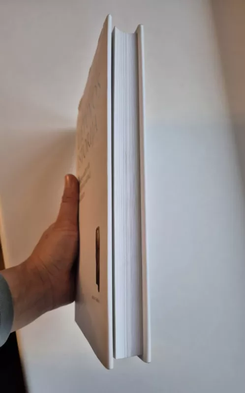 LIETUVOS ISTORIJA Akmens amžius ir Ankstyvasis metalų laikotarpis - Algirdas Girininkas, knyga 2