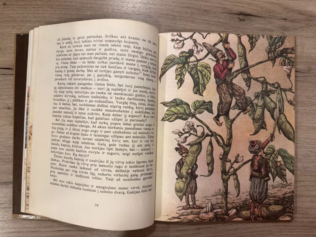 Baronas Miunhauzenas - Gotfrydas Augustas Biurgeris, knyga 4