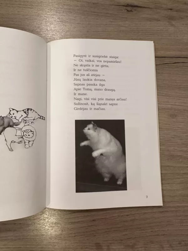 Aš - princas - Vitalija Tarutienė, knyga 4