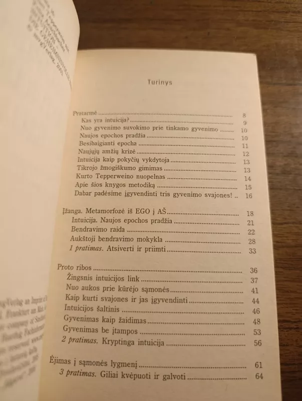 Paslaptinga intuicijos galia - Kurt Tepperwein, knyga 4